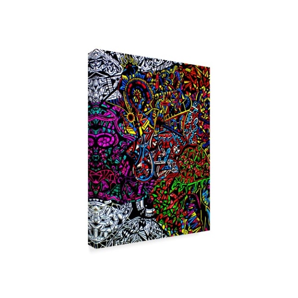 Abstract Graffiti 'Drops' Canvas Art,35x47